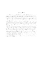 Konspekts 'SIA SMF "Radio Mezgls"', 2.