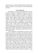 Referāts 'Betons un Dzelzsbetons daudzstāvu ēku būvē - monolītā dzelzsbetona pārsegumi', 13.