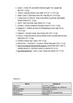 Referāts 'Izdegšanas sindroms skolotājiem', 12.