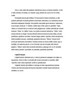 Prakses atskaite 'Prakses atskaite reklāmas aģentūrā. Mārketinga daļa', 6.