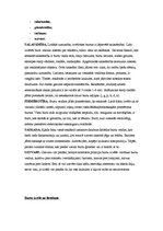 Prakses atskaite 'Prakses atskaite reklāmas aģentūrā. Mārketinga daļa', 13.