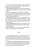 Prakses atskaite 'Prakses atskaite reklāmas aģentūrā. Mārketinga daļa', 14.