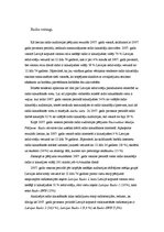 Prakses atskaite 'Prakses atskaite reklāmas aģentūrā. Mārketinga daļa', 21.