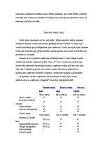 Prakses atskaite 'Prakses atskaite reklāmas aģentūrā. Mārketinga daļa', 31.