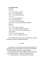 Prakses atskaite 'Prakses atskaite reklāmas aģentūrā. Mārketinga daļa', 35.