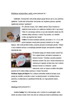Prakses atskaite 'Prakses atskaite reklāmas aģentūrā. Mārketinga daļa', 48.
