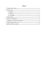 Referāts 'Finanšu sistēma', 1.