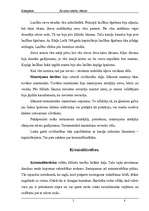 Referāts 'Barbaru paražu tiesības Rietumeiropā agrīnajos viduslaikos. Lex Salica 5.gs.', 7.