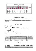 Referāts 'Personības attīstība un socializācijas process', 8.