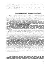 Referāts 'Apbedīšanas tradīcijas Senajā Ēģiptē', 11.