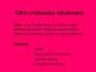 Prezentācija 'Biežāk sastopamās ausu traumas un slimības', 6.
