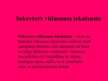 Prezentācija 'Biežāk sastopamās ausu traumas un slimības', 12.