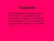 Prezentācija 'Biežāk sastopamās ausu traumas un slimības', 13.