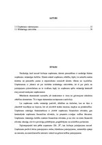 Diplomdarbs 'Klientu piesaistīšanas projekts pakalpojumu uzņēmumam', 11.