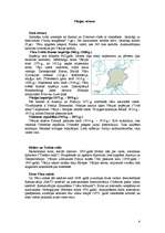 Referāts 'Vācija', 6.