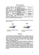 Referāts 'Vācija', 10.