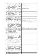 Referāts 'Jaunākā skolas vecuma bērna psiholoģiskā izpēte', 2.