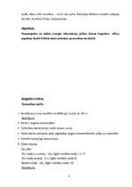 Referāts 'Jaunākā skolas vecuma bērna psiholoģiskā izpēte', 15.