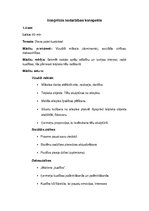 Konspekts 'Integrētās nodarbības konspekts 1.klasei', 1.