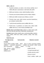 Konspekts 'Integrētās nodarbības konspekts 1.klasei', 2.