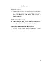 Referāts 'SIA "X" komercdarbības analīze', 20.