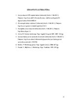 Referāts 'SIA "X" komercdarbības analīze', 21.