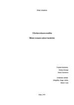 Referāts 'Cilvēks - ūdens - veselība. Misas ciemata ūdens kvalitāte', 1.