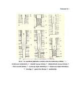 Referāts 'Cilvēks - ūdens - veselība. Misas ciemata ūdens kvalitāte', 21.