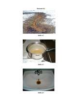 Referāts 'Cilvēks - ūdens - veselība. Misas ciemata ūdens kvalitāte', 22.