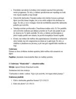 Paraugs 'Vadības stili un to piemērošana', 2.