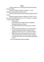 Referāts 'Emocionālā intelekta saistība ar piesaistes stilu pusaudžiem', 4.