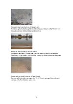 Referāts 'Ūdens kvalitāte Grobiņas novada peldvietās', 12.