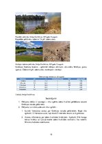 Referāts 'Ūdens kvalitāte Grobiņas novada peldvietās', 15.