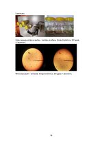 Referāts 'Ūdens kvalitāte Grobiņas novada peldvietās', 19.