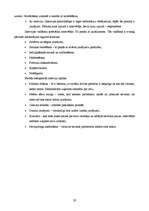 Referāts 'Bērna sadarbības prasmju veicināšanas iespējas vecākajā pirmsskolas vecuma grupā', 20.