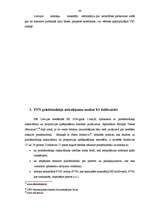 Diplomdarbs 'PVN Latvijā un ES', 35.