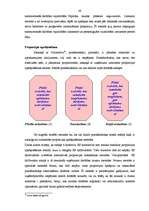 Diplomdarbs 'PVN Latvijā un ES', 43.