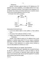 Diplomdarbs 'PVN Latvijā un ES', 68.