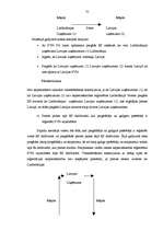 Diplomdarbs 'PVN Latvijā un ES', 70.