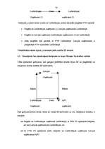 Diplomdarbs 'PVN Latvijā un ES', 71.