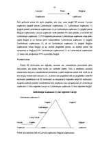 Diplomdarbs 'PVN Latvijā un ES', 75.