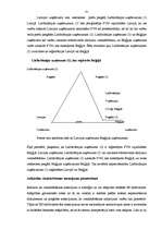 Diplomdarbs 'PVN Latvijā un ES', 76.