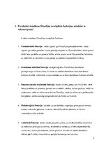 Konspekts 'Filosofija', 2.