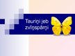 Prezentācija 'Tauriņi jeb zvīņspārņi', 1.