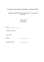 Referāts 'Biznesa plāna industrijas analīze', 1.