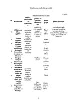 Referāts 'Biznesa plāna industrijas analīze', 6.