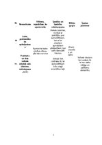 Referāts 'Biznesa plāna industrijas analīze', 7.