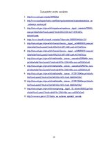 Referāts 'Biznesa plāna industrijas analīze', 18.