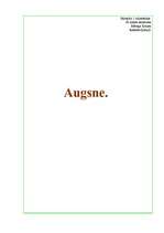 Referāts 'Augsne', 1.