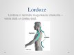 Prezentācija 'Lordoze', 2.